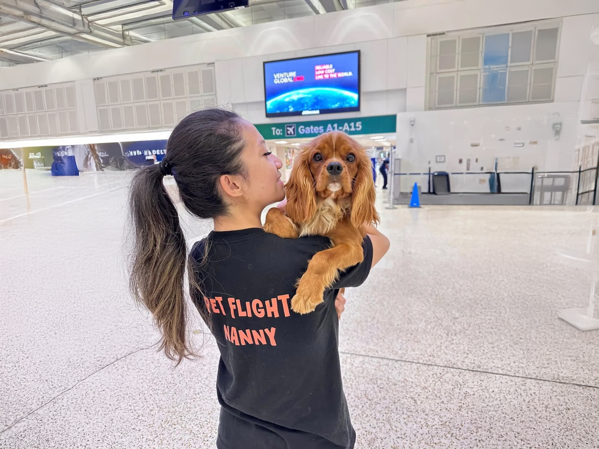 Flight nanny holding a dog at the airport terminal